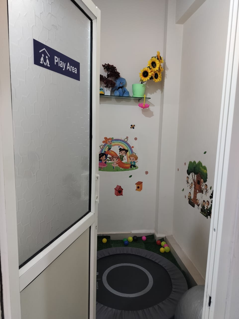 Play area trampoline and therapy balls for gross motor play